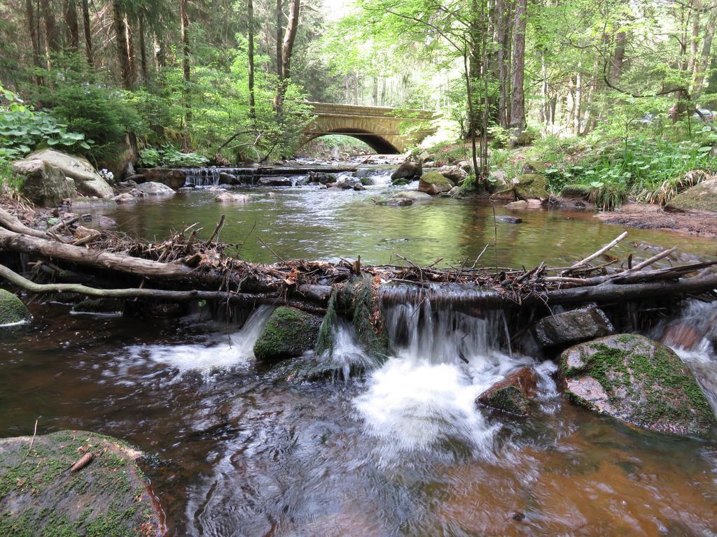 Fewo Kruse Am Wurmberg Braunlage Eksteriør bilde